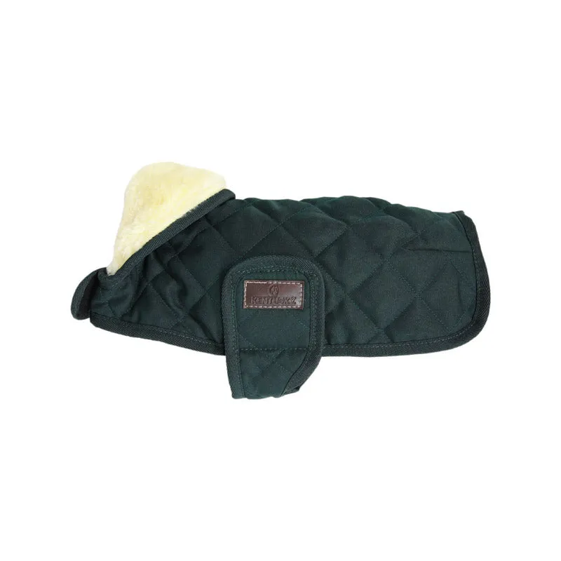 Kentucky Dog Coat- Dark Green